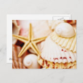  zeeschelpen briefkaart (Voorkant / Achterkant)