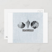  zeeschelpen briefkaart (Voorkant / Achterkant)