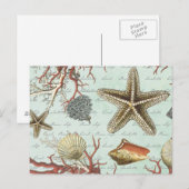 zeeschelpen...briefkaart briefkaart (Voorkant / Achterkant)