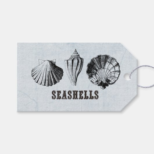  zeeschelpen cadeaulabel (Voorkant (Horizontaal))