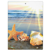 Zeeschelpen en zeesterkreeft op het strand klembord (Achterkant)