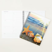 Zeeschelpen en zeesterkreeft op het strand planner (Display)