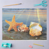 Zeeschelpen en zeesterkreeft op het strand tissuepapier (Craft)