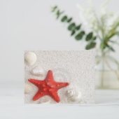 zeeschelpen en zeesterren briefkaart (Staand voorkant)
