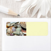 zeeschelpen etiket (Insitu)