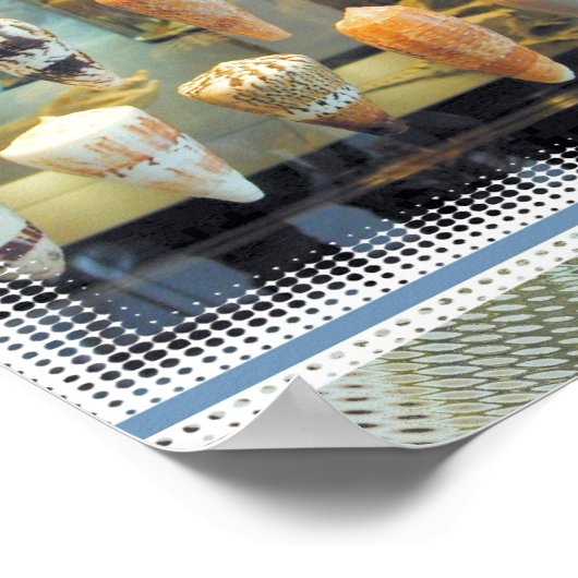 Zeeschelpen in het raam poster (Hoek)