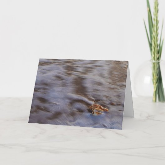 Zeeschelpen in Surf Wenskaart Kaart (Voorkant)