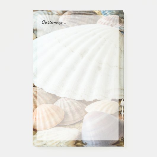 Zeeschelpen - Oceaan, Zee, Natuur Post-it® Notes (Voorkant)