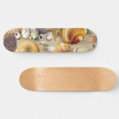 Zeeschelpen op het strand skateboard (Horizontaal)