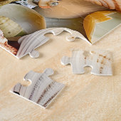 Zeeschelpen Puzzel (Zijkant)