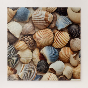 Zeeschelpen Puzzel