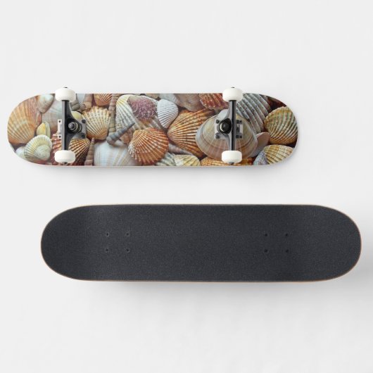 Zeeschelpen Skateboard (Horizontaal)