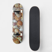 Zeeschelpen Skateboard (Voorkant)