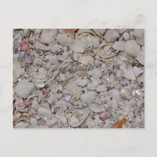 Zeeschelpen van anibel briefkaart