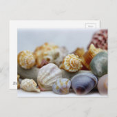 Zeeschelpen van het Seashore Briefkaart (Voorkant / Achterkant)