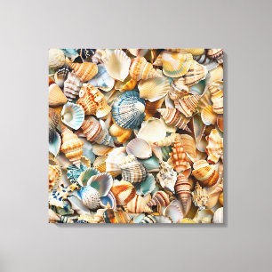 Zeeschelpen Verpakte Canvas Art Afdruk