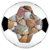 Zeeschelpen Voetbal (Gedraaid)