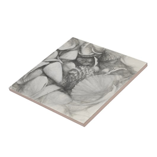 Zeeschelpen voor de Noordzee,  Antiek Tegeltje (Zijkant)