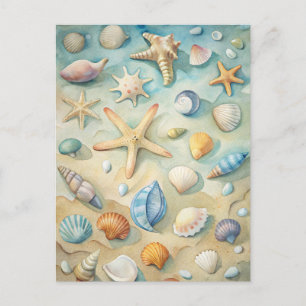 Zeeschelpen Zeester Kust Strand Nautilus Kunst Briefkaart