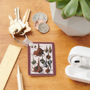  zeeschelpen, zeewier, zeewier, zeeschelpdieren sleutelhanger