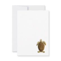 Zeeschildpad