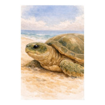 Zeeschildpad Oceaanstrand