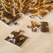Zeeschildpad Paradijs Puzzel (Zijkant)