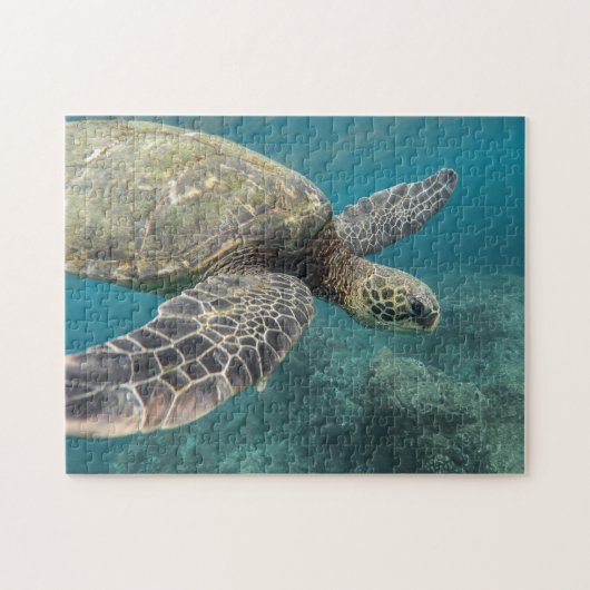 Zeeschildpad Puzzel (Horizontaal)