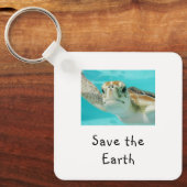 Zeeschildpad Red de Aarde Sleutelhanger (Voorkant)