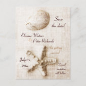 zeeschok en  strandbruiloft aankondigingskaart (Voorkant)