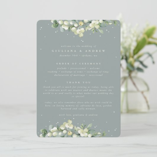 Zeeschuim Groene Snowberry + Eucalyptus Winter Bru Programma (Staand voorkant)