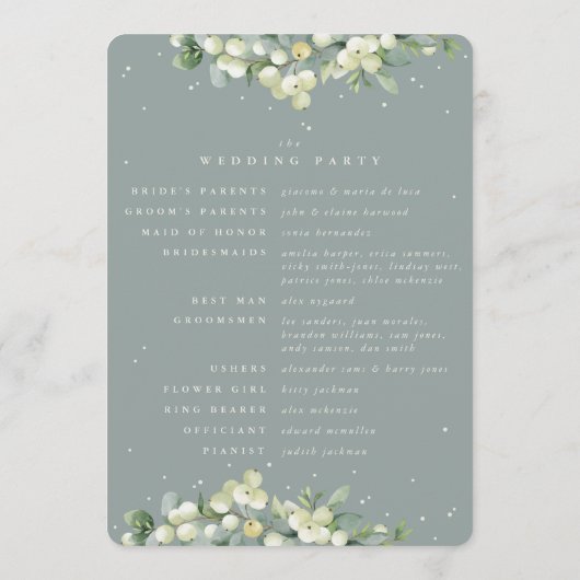 Zeeschuim Groene Snowberry + Eucalyptus Winter Bru Programma (Achterkant)