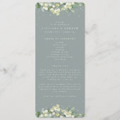 Zeeschuim Groene Snowberry + Eucalyptus Winter Bru Programma (Voorkant)