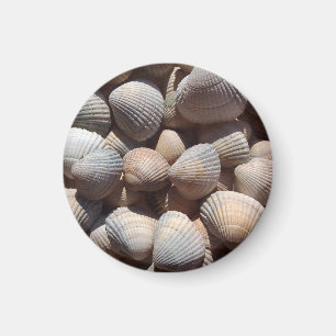 Zeeshells Beach, Summer Holiday Magnet Magneet