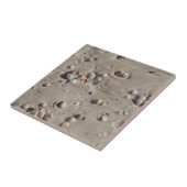 Zeeshells in de Wet Sand Tegeltje (Zijkant)