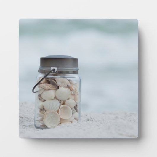 Zeeshells op de strand | Florida Fotoplaat (Voorkant)
