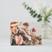 Zeeshells op de strand | Foto van Turks- en Caicos Briefkaart (Staand voorkant)