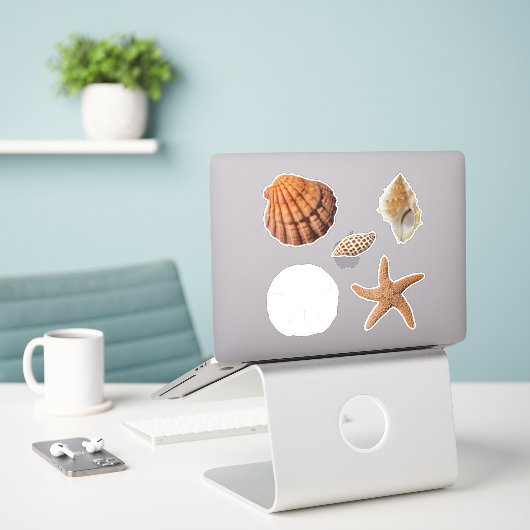 Zeeshells Sand Dollar Junonia Lions Paw Sticker (Laptop op bureau)