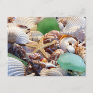 Zeeshells Starfish and Beach Glass Briefkaart