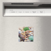 Zeeshells Starfish & Beach Glass Magnet Magneet (Insitu (Vaatwasser))