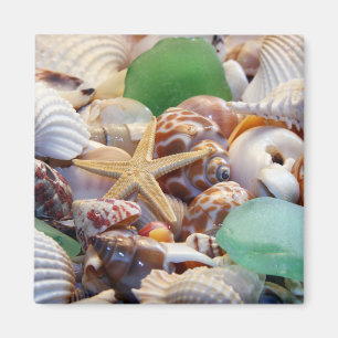 Zeeshells Starfish & Beach Glass Magnet Magneet