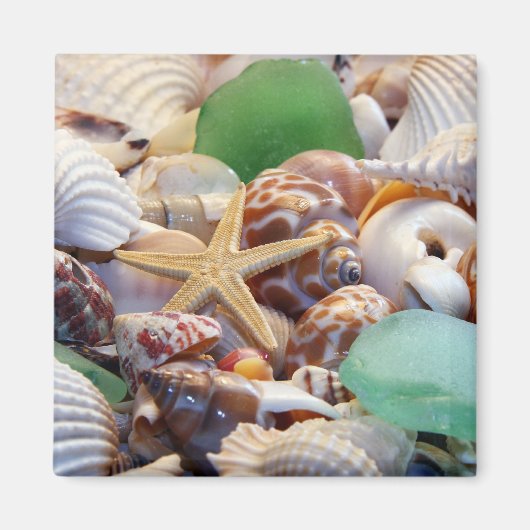 Zeeshells Starfish & Beach Glass Magnet Magneet (Voorkant)