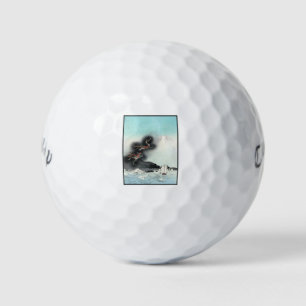 Zeeslag bij Dragon's Fury om Mount Fuji, Japan Golfballen