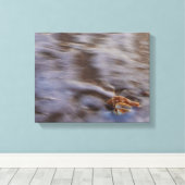 Zeeslagers in Surf Stretched Canvas Print (Insitu (Houten vloer))