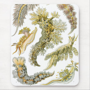 Zeeslakken door Ernst Haeckel, Vintage Nudibranchi Muismat