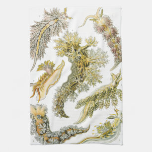 Zeeslakken, Slakken door Ernst Haeckel, Oude Diere Theedoek