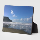 Zeesoever in de winter fotoplaat (Zijkant)