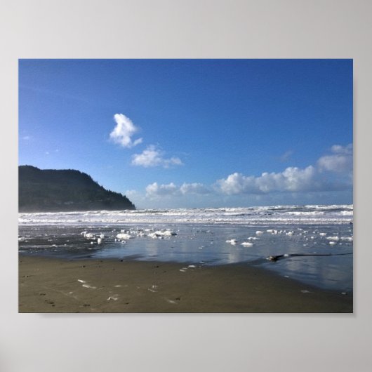 Zeesoever in de winter poster (Voorkant)