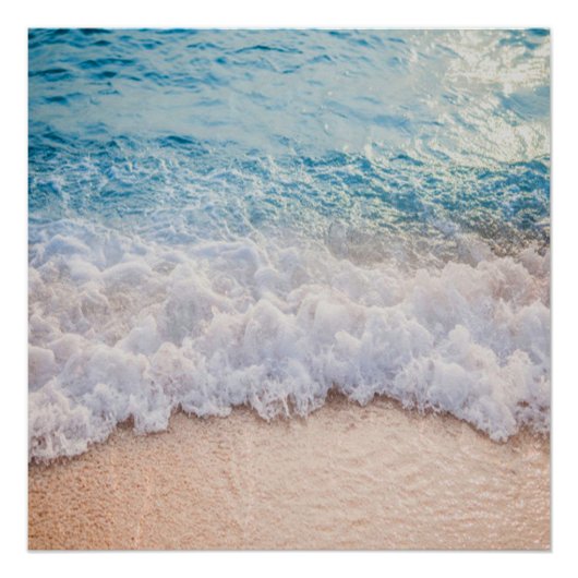 Zeesoorten Perfect Poster (Voorkant)