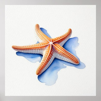 Zeester en Blauwe Silhouet Poster